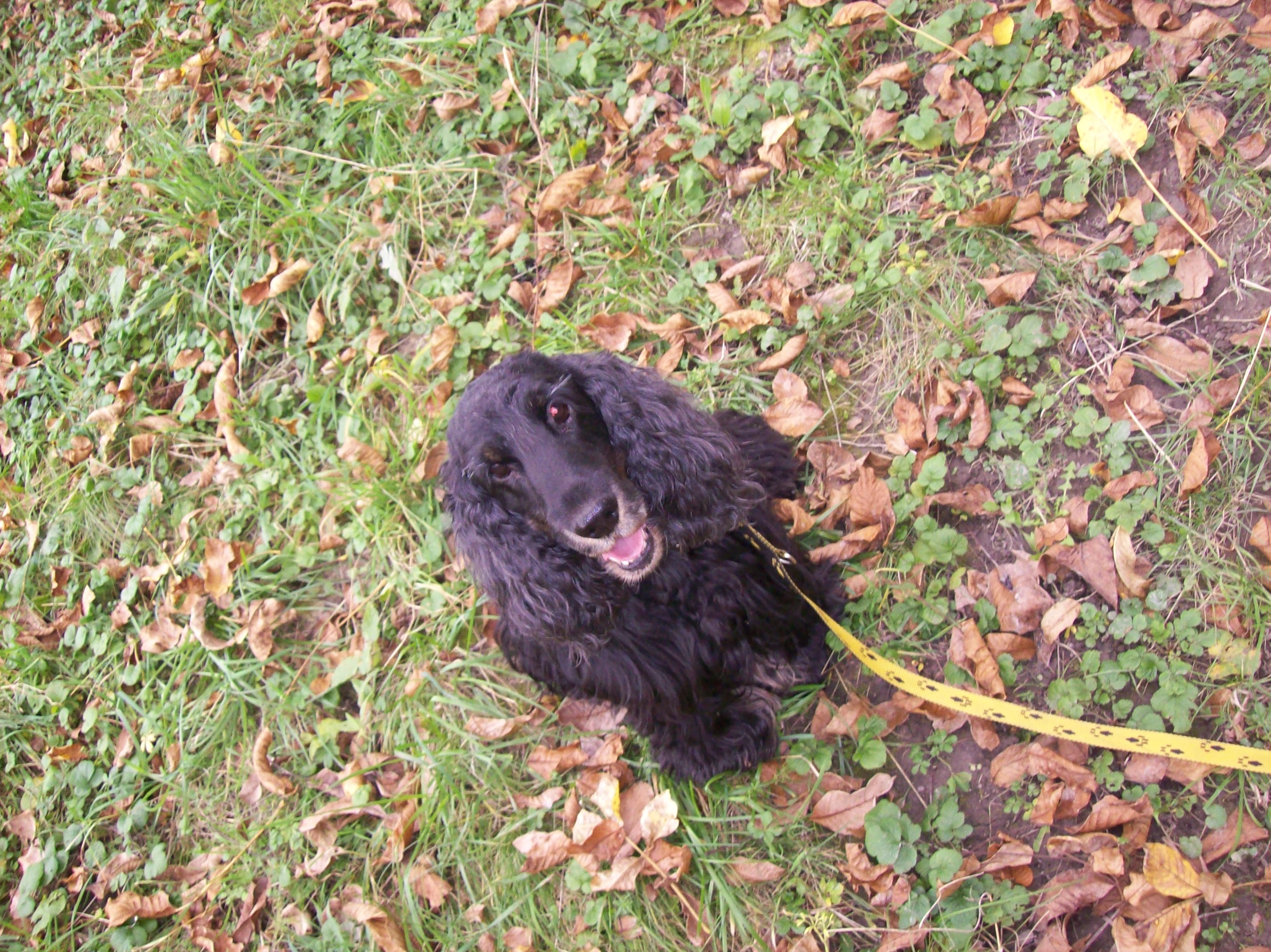 zima 2007 093.jpg