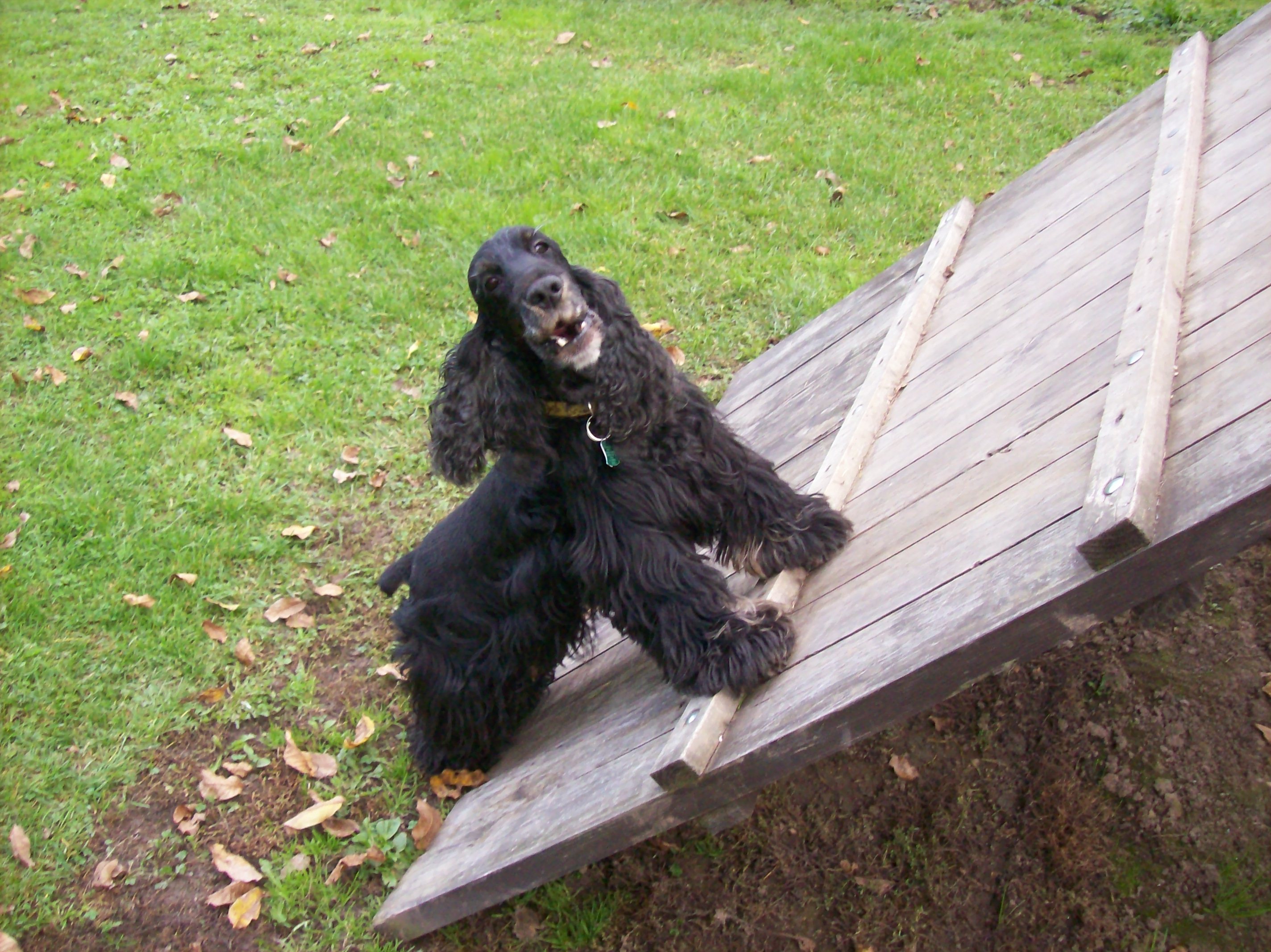 zima 2007 104.jpg